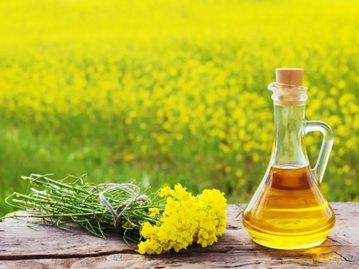 Mustard Oil