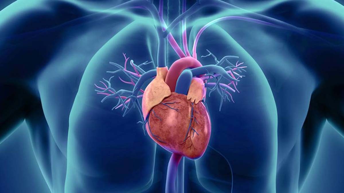 heart blockage news